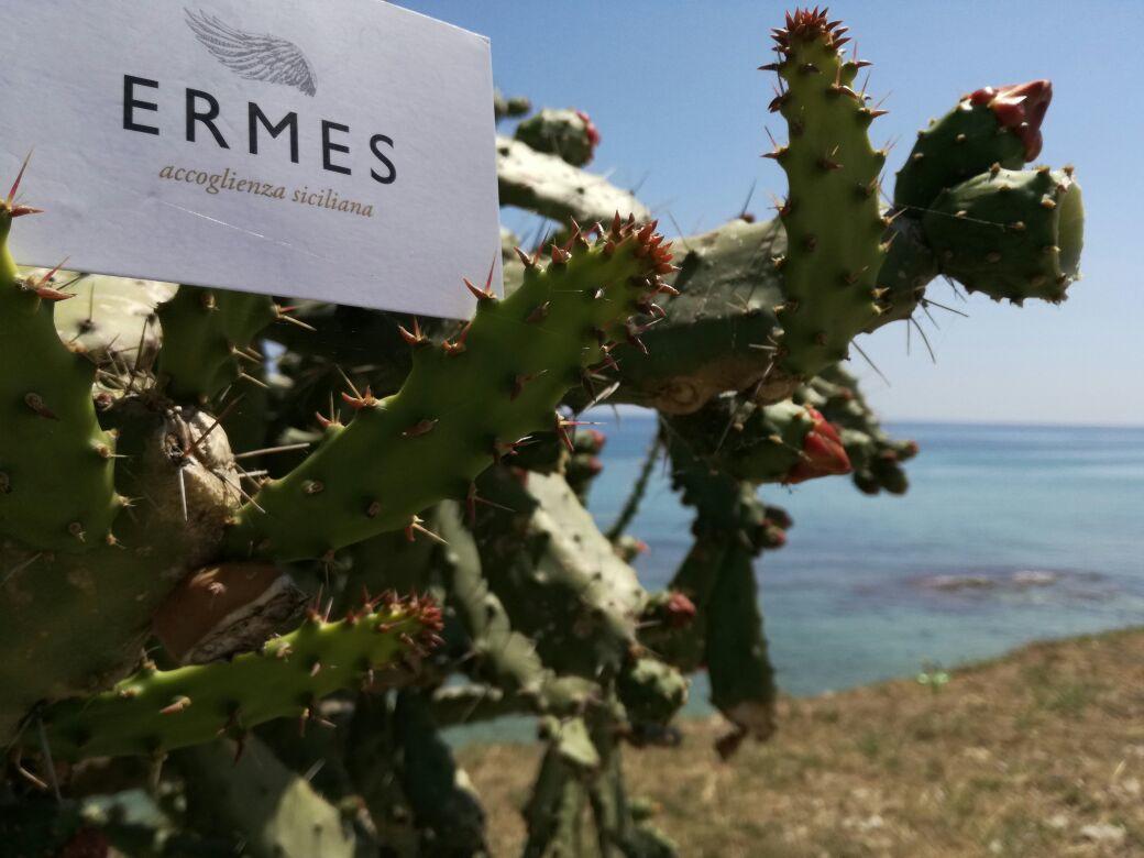 Ermes Bed & Breakfast Avola Exterior photo